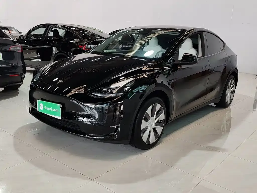 Tesla Model Y — фото 10