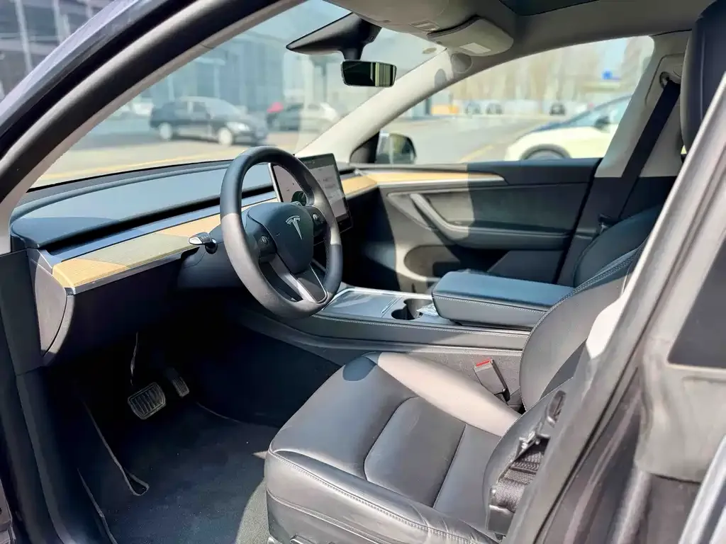 Tesla Model Y — фото 2