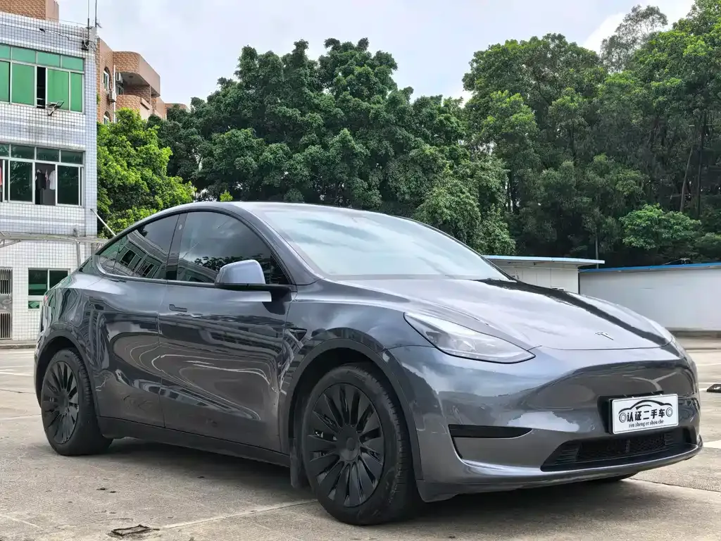Tesla Model Y — фото 9