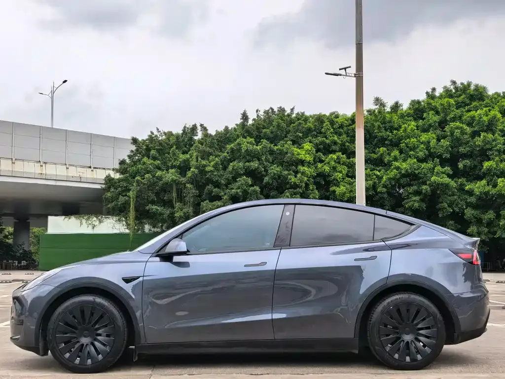 Tesla Model Y — фото 3