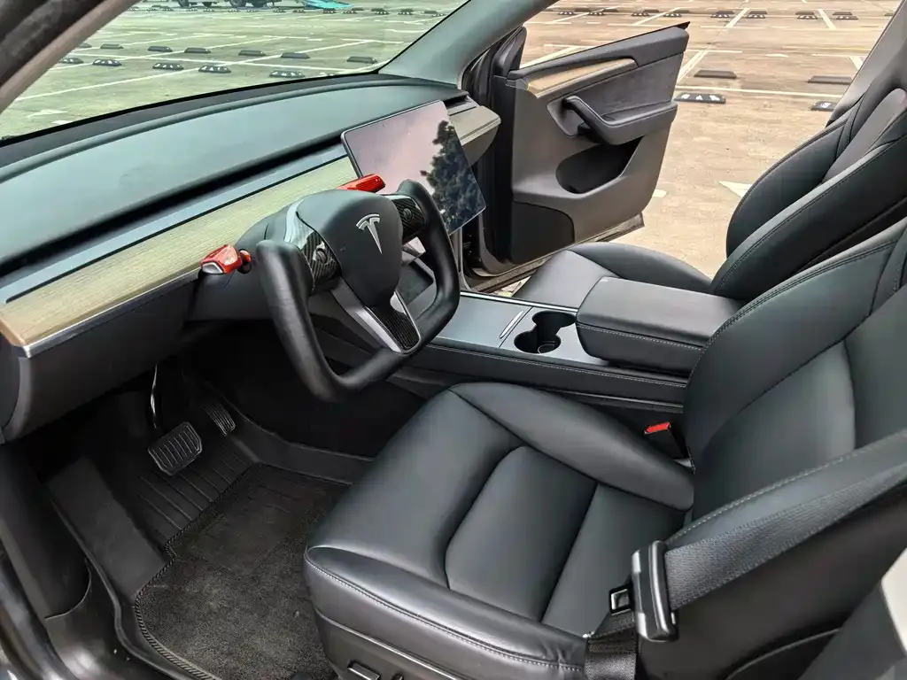 Tesla Model Y — фото 2