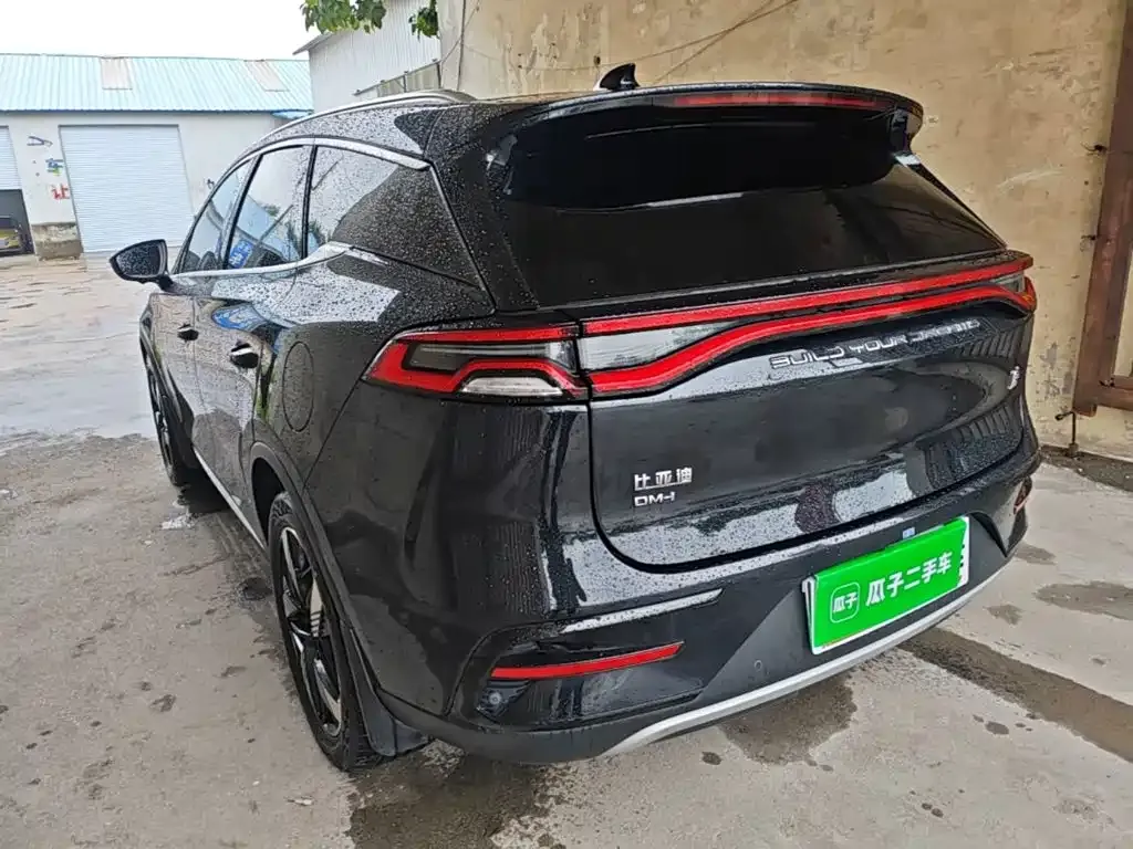 BYD Tang New Energy — фото 5