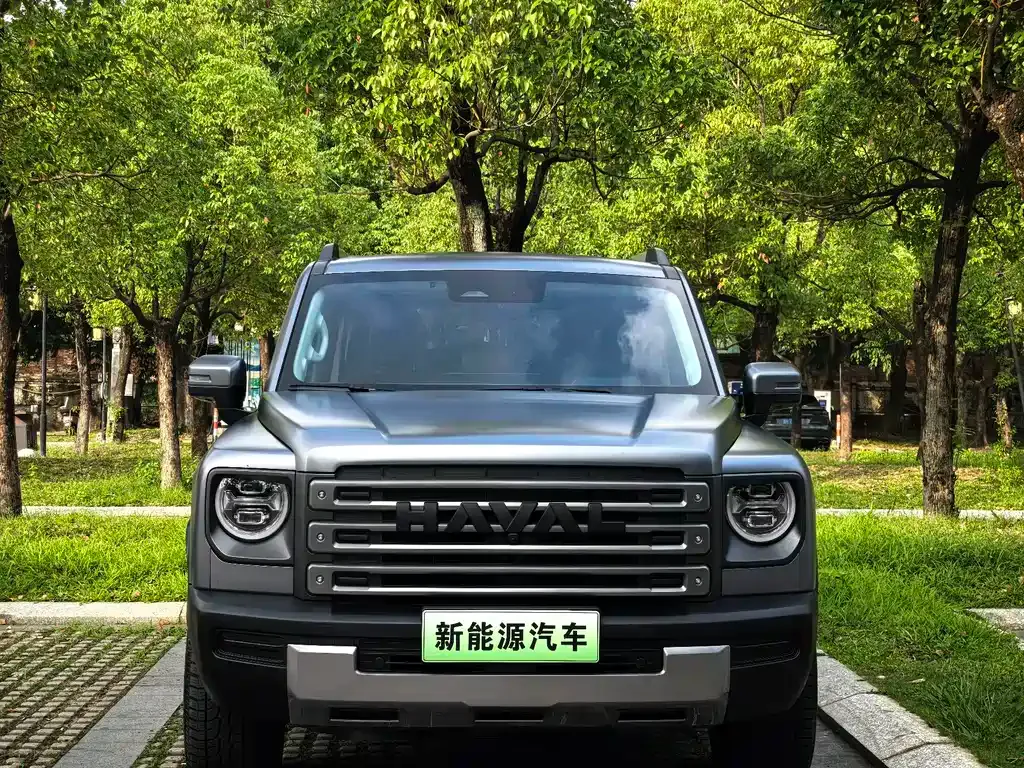 Haval Menglong New Energy 2024 из CN, фото 5