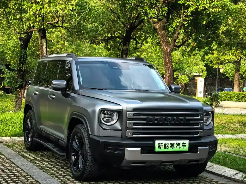 Haval Menglong New Energy 2024 из CN, фото 6