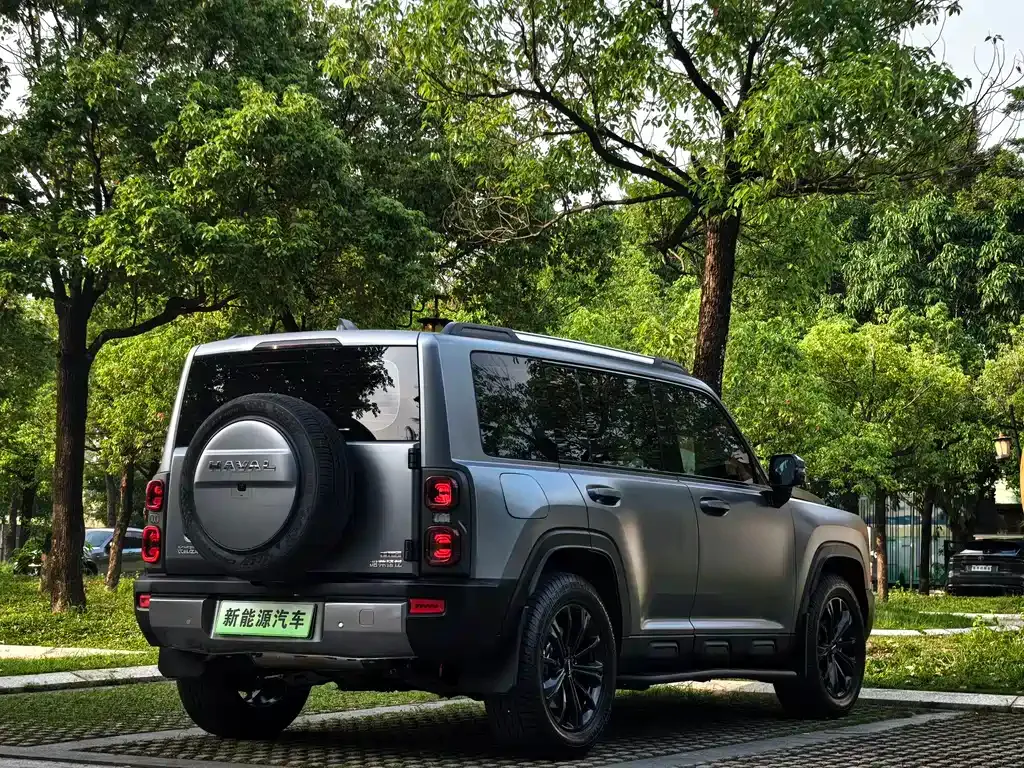 Haval Menglong New Energy 2024 из CN, фото 8