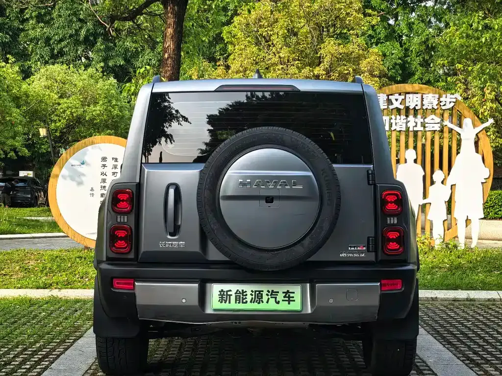 Haval Menglong New Energy 2024 из CN, фото 4