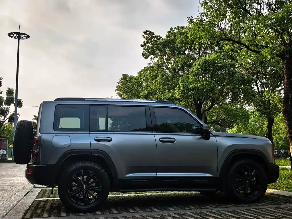 Haval Menglong New Energy 2024 из CN, фото 9