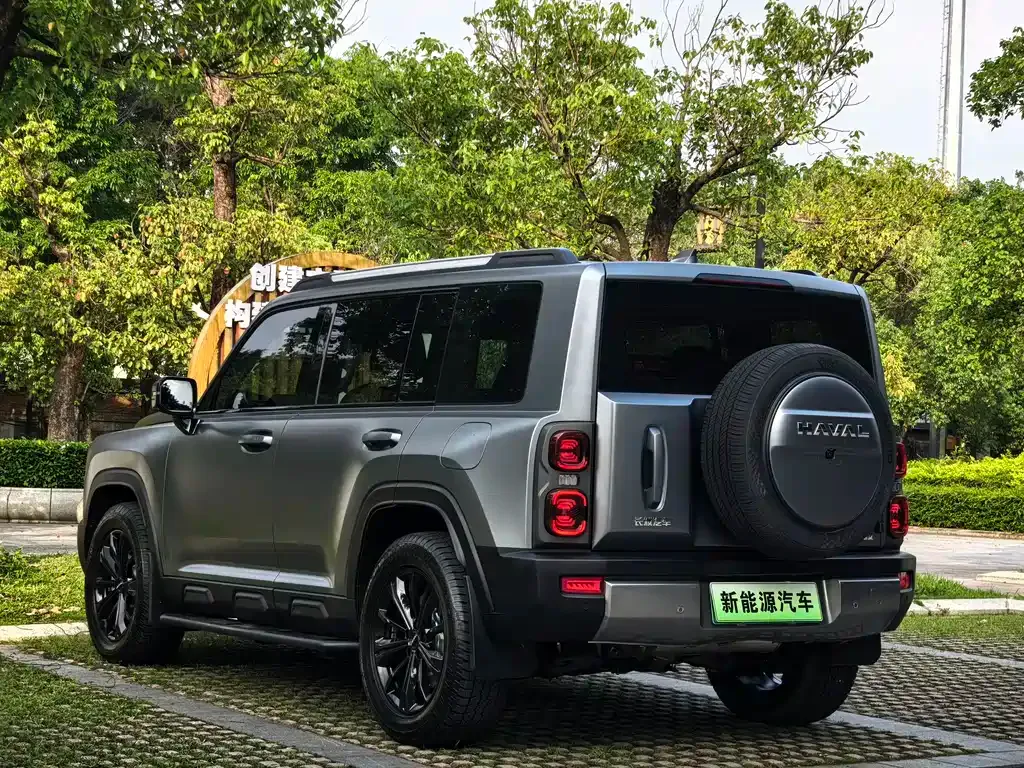 Haval Menglong New Energy 2024 из CN, фото 10