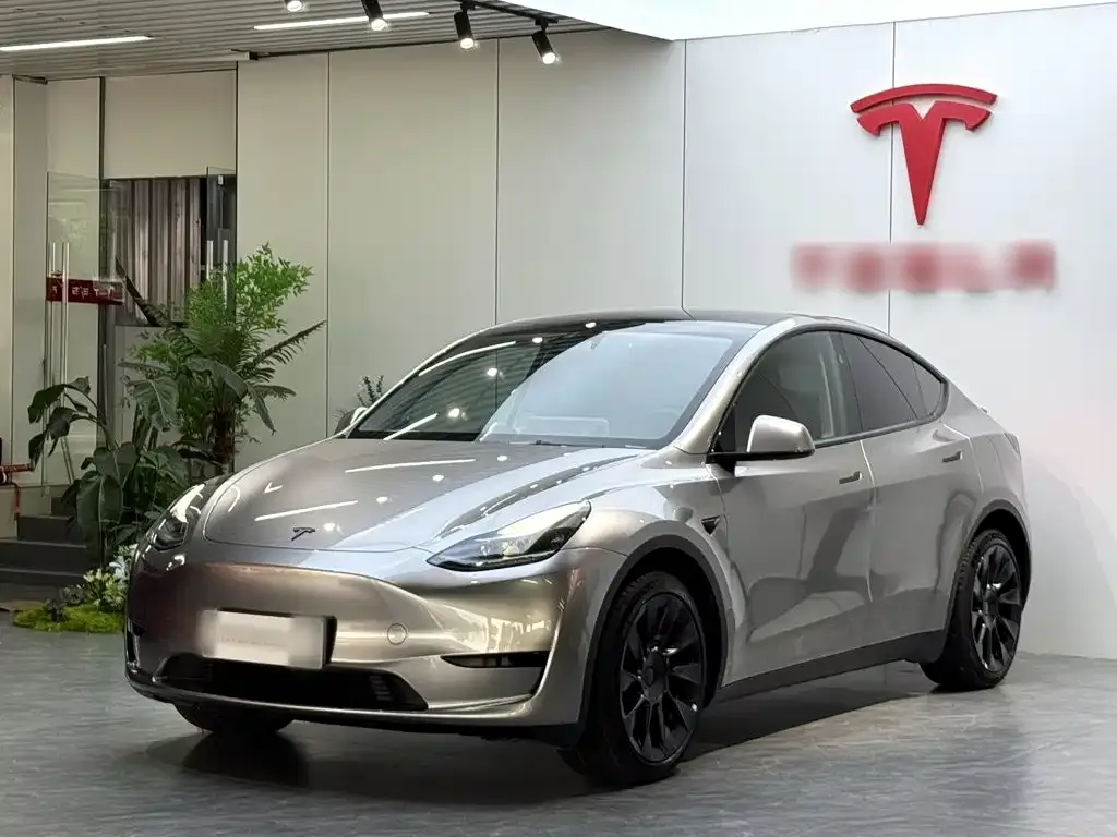 Tesla Model Y — фото 8