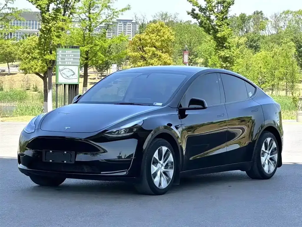 Tesla Model Y — фото 1