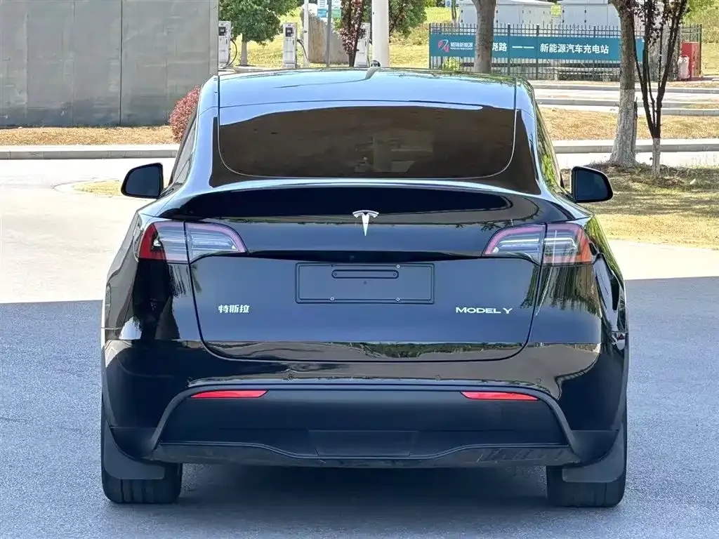 Tesla Model Y — фото 4