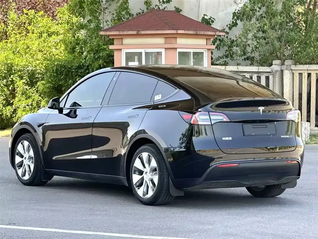 Tesla Model Y — фото 9