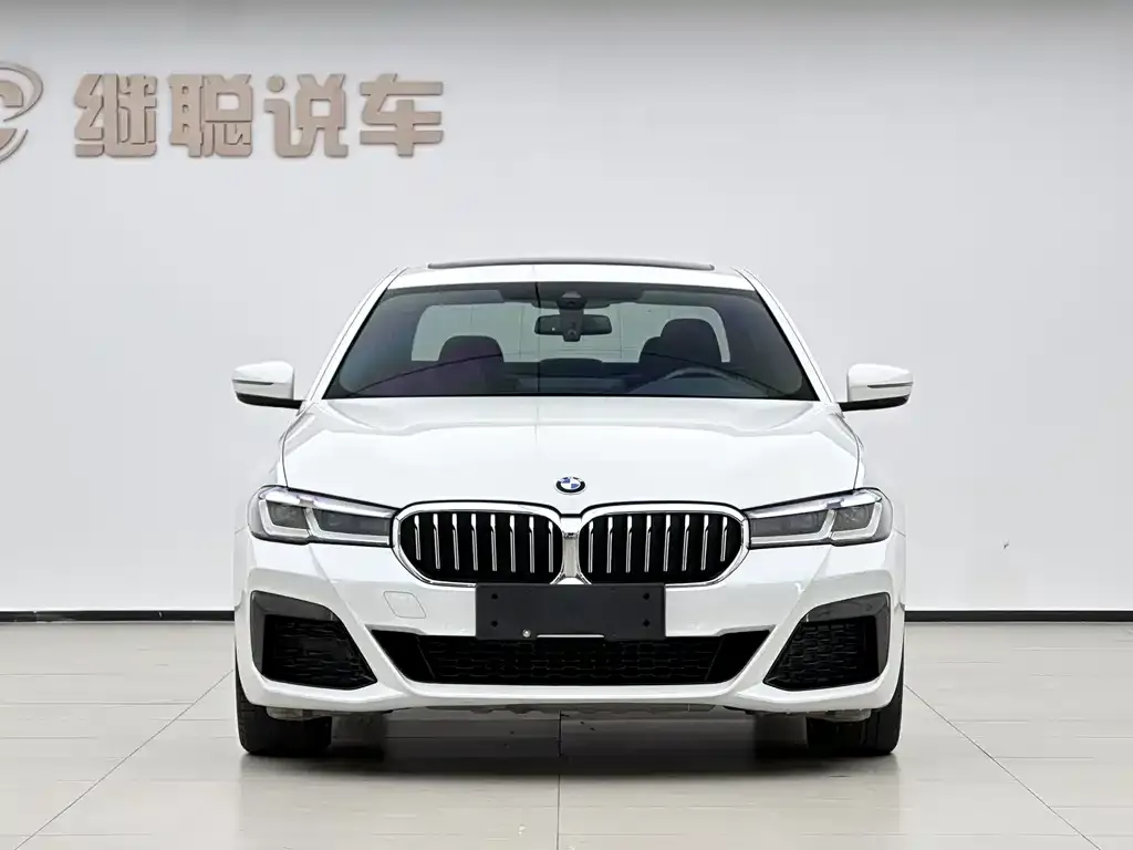 BMW 5 Series New Energy — фото 3