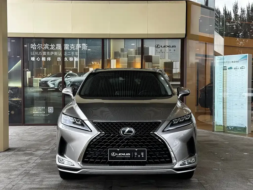 Lexus RX — фото 10