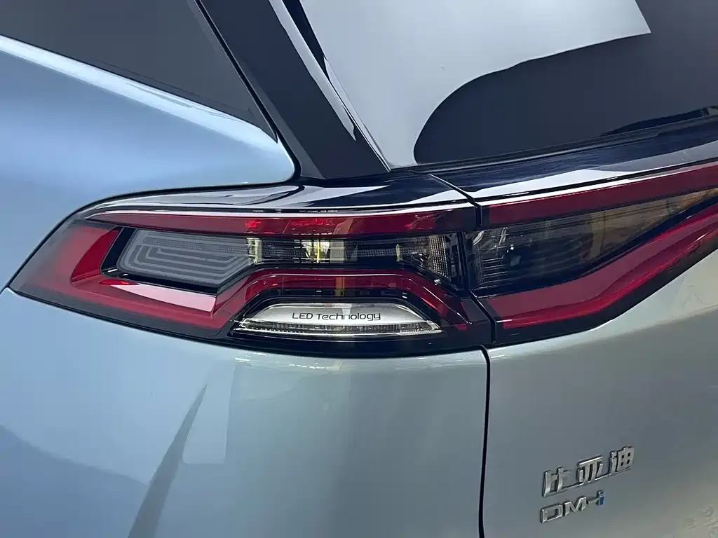BYD Tang New Energy 2024 из CN, фото 9