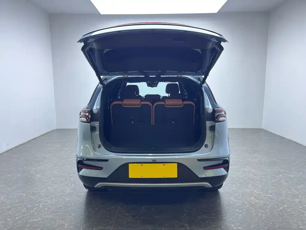 BYD Tang New Energy 2024 из CN, фото 4