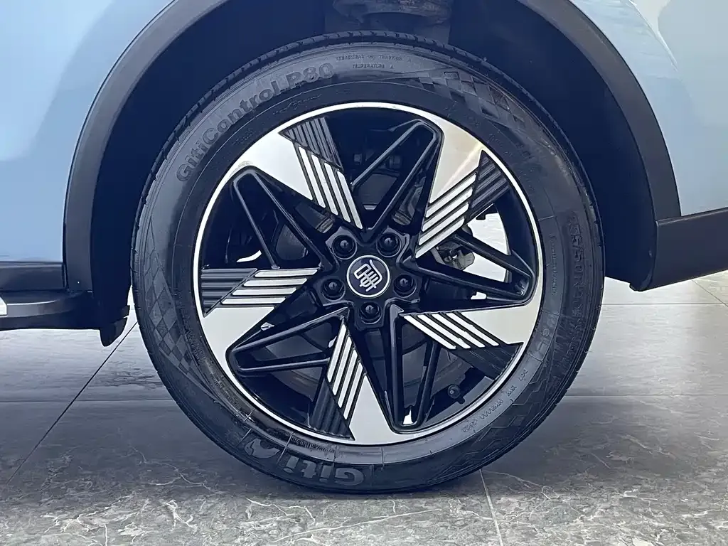 BYD Tang New Energy 2024 из CN, фото 7