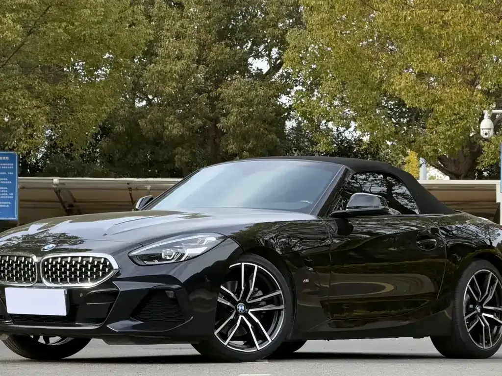 BMW Z4 — фото 1