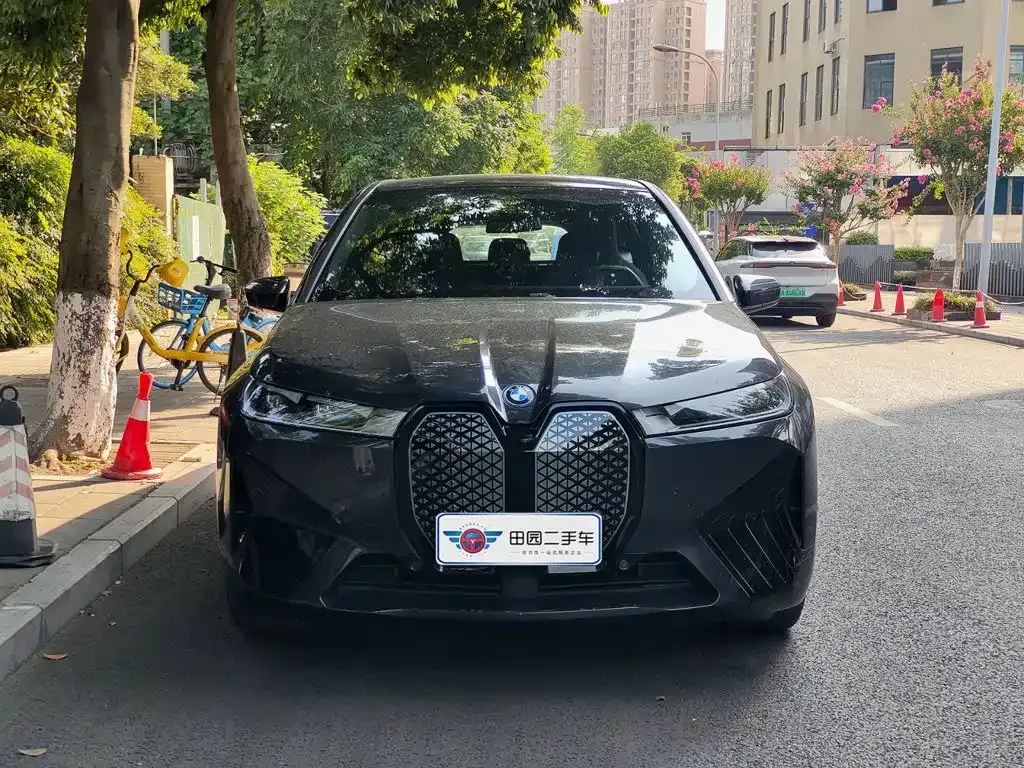 BMW iX — фото 10