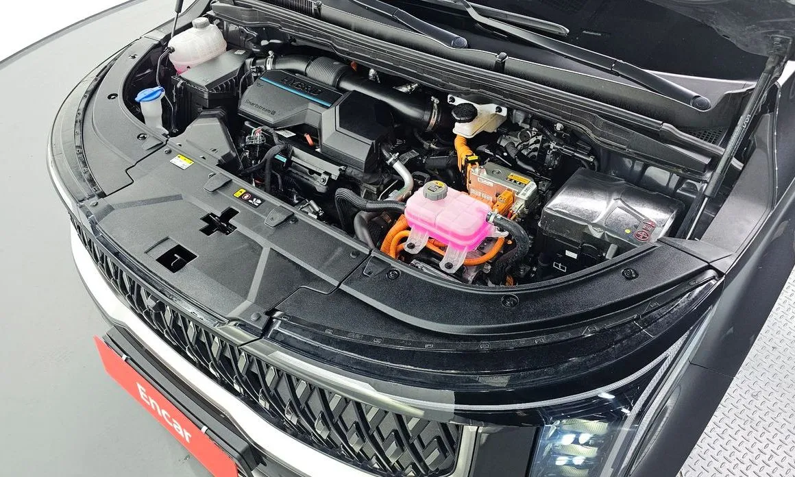 Kia Carnival — фото 10