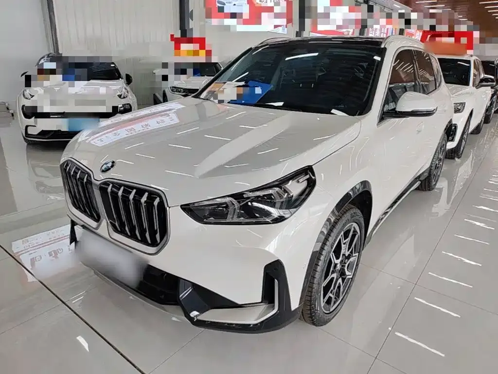 BMW X1 — фото 1