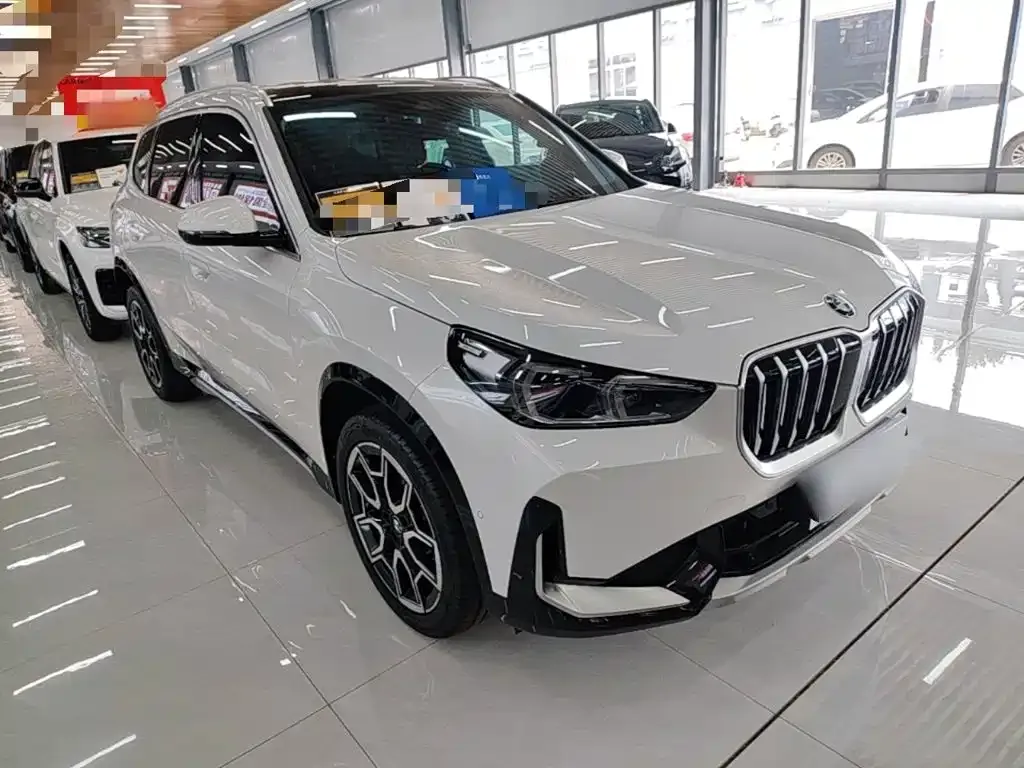 BMW X1 — фото 8