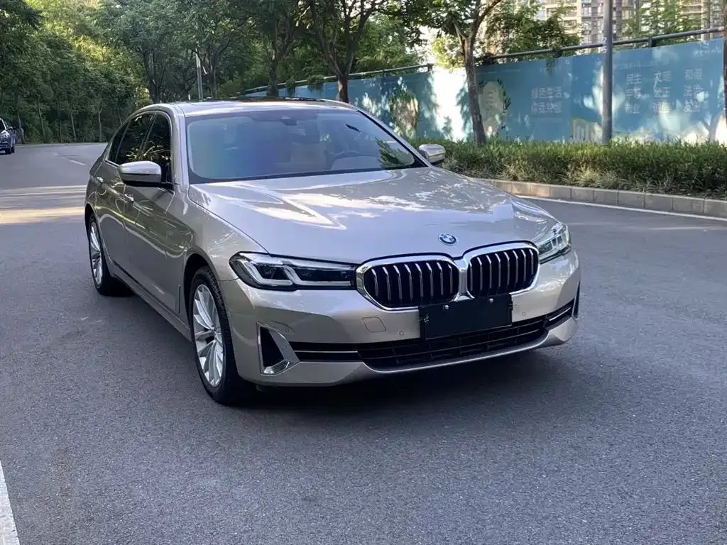 BMW 5 Series 2023 из CN, фото 6