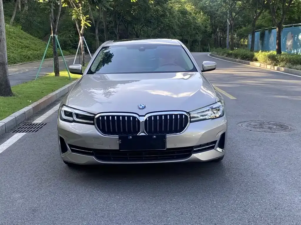 BMW 5 Series 2023 из CN, фото 8