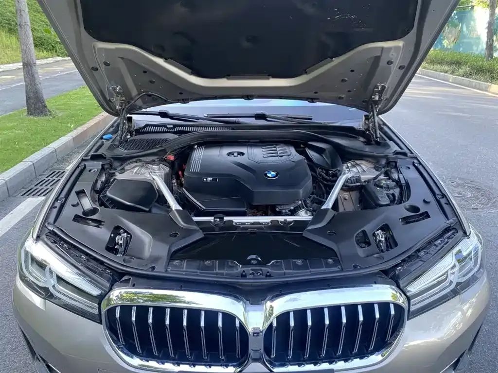 BMW 5 Series 2023 из CN, фото 2