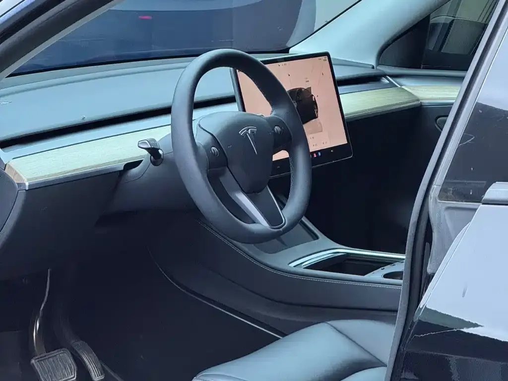 Tesla Model Y — фото 3