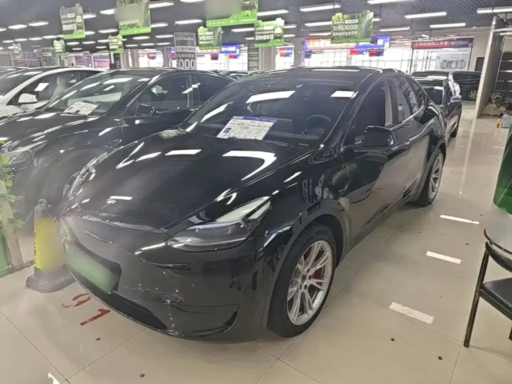 Tesla Model Y — фото 10