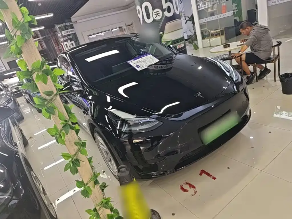 Tesla Model Y — фото 8