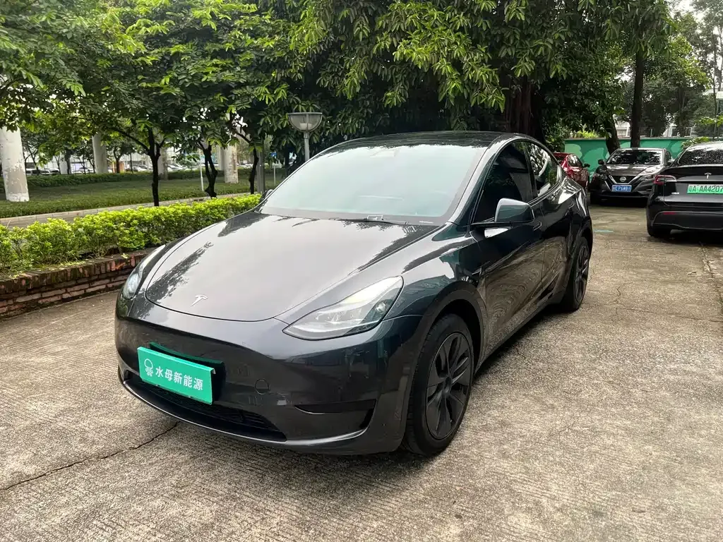 Tesla Model Y — фото 1