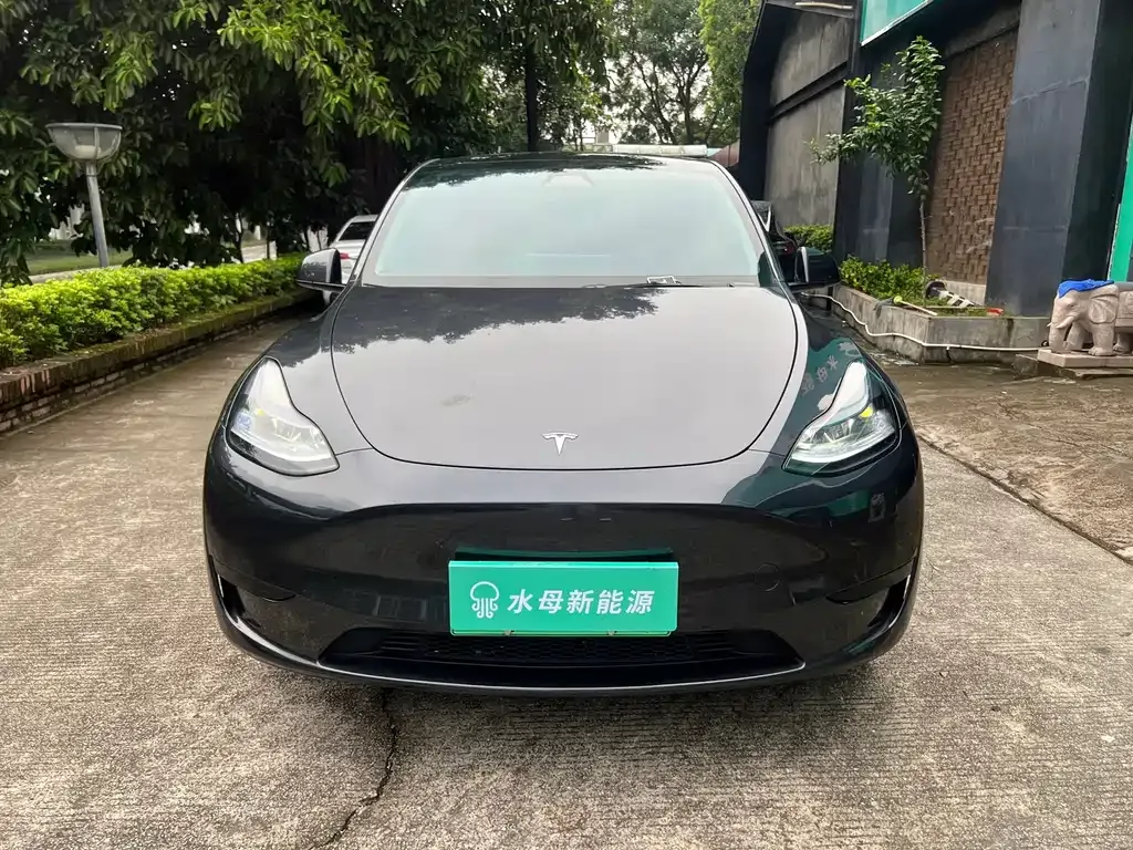 Tesla Model Y — фото 9