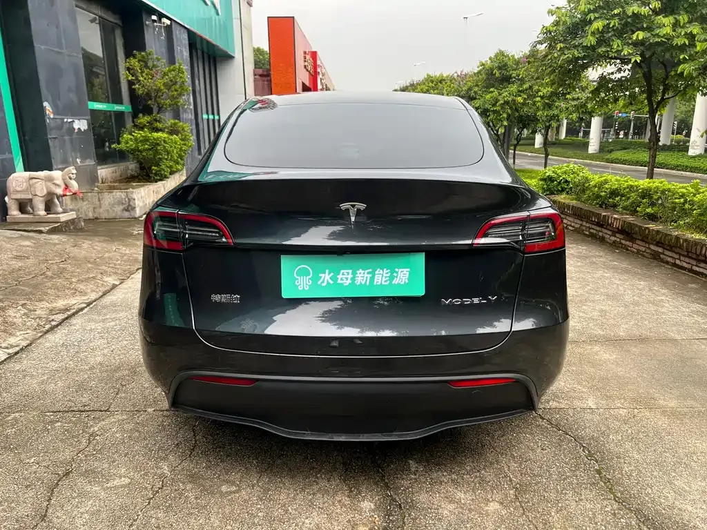 Tesla Model Y — фото 10