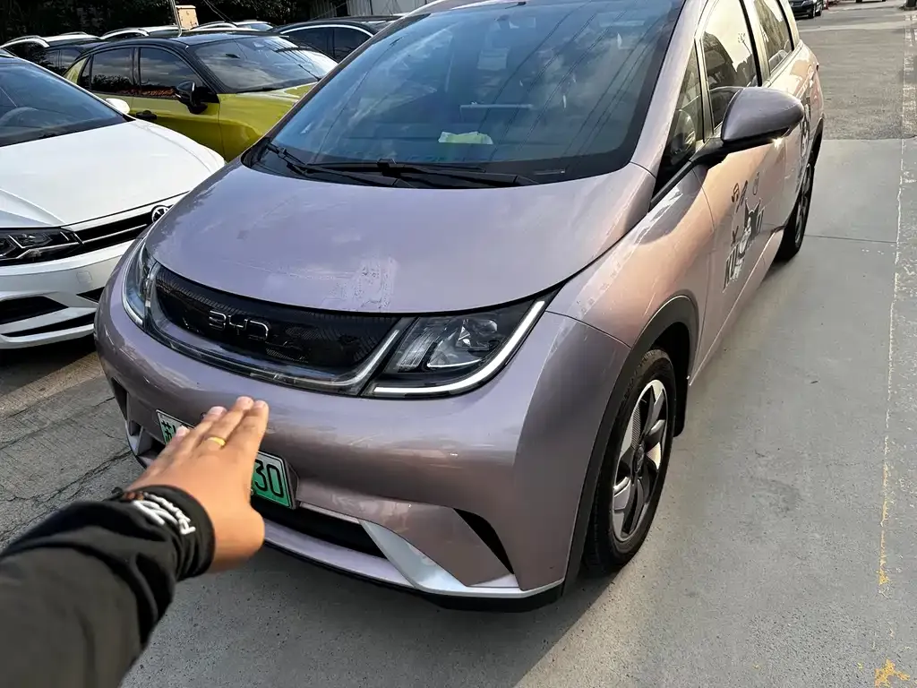 BYD Dolphin 2024 из CN, фото 4