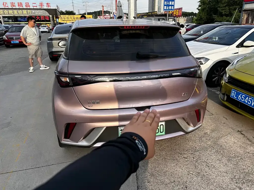 BYD Dolphin 2024 из CN, фото 3