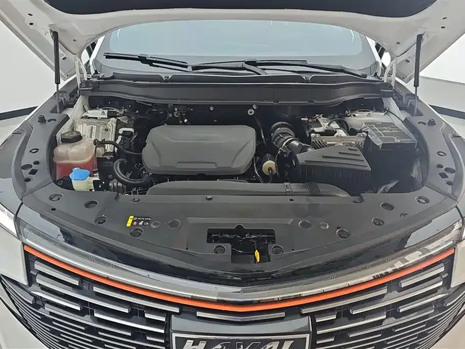 Haval Shenshou 2023 из CN, фото 2