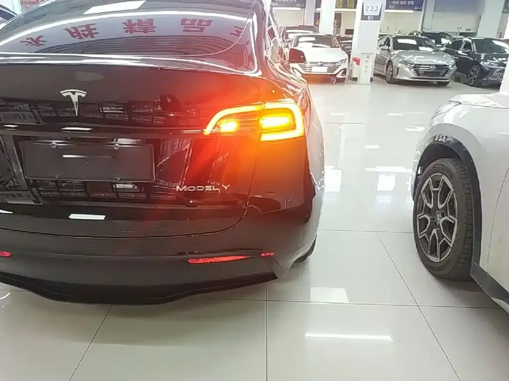 Tesla Model Y — фото 3