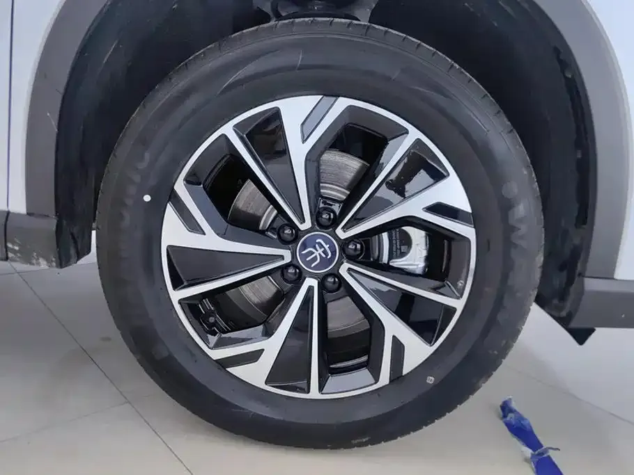 BYD Pro New Energy — фото 9