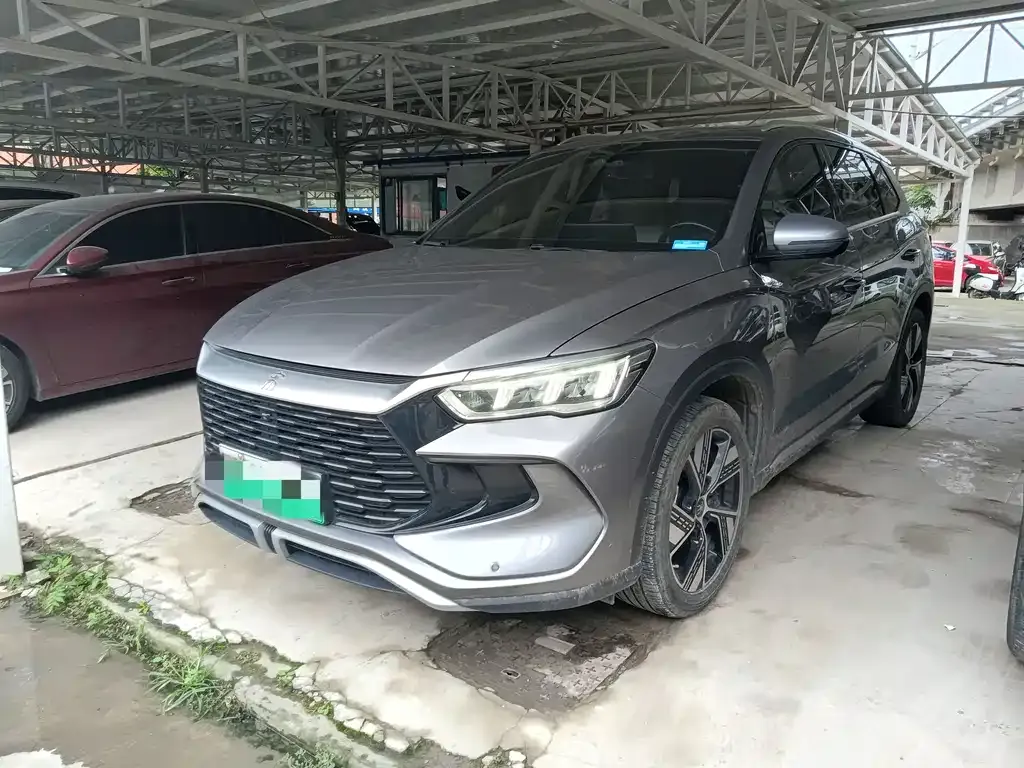 BYD Pro New Energy