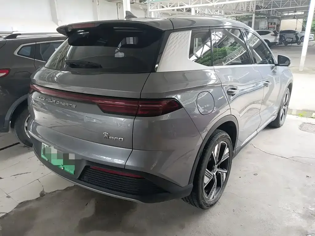 BYD Pro New Energy 2024 из CN, фото 2