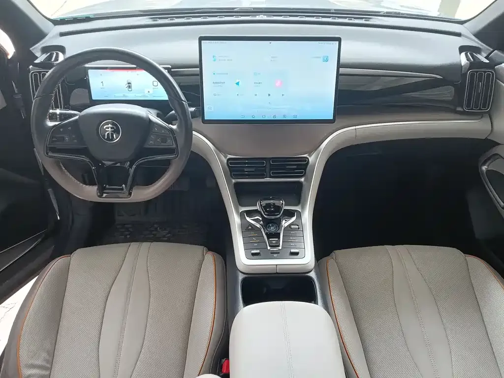 BYD Pro New Energy 2024 из CN, фото 8