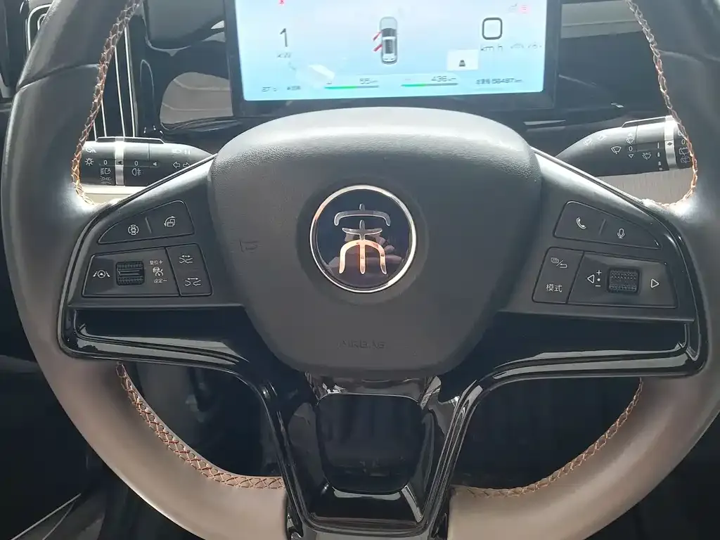 BYD Pro New Energy 2024 из CN, фото 7