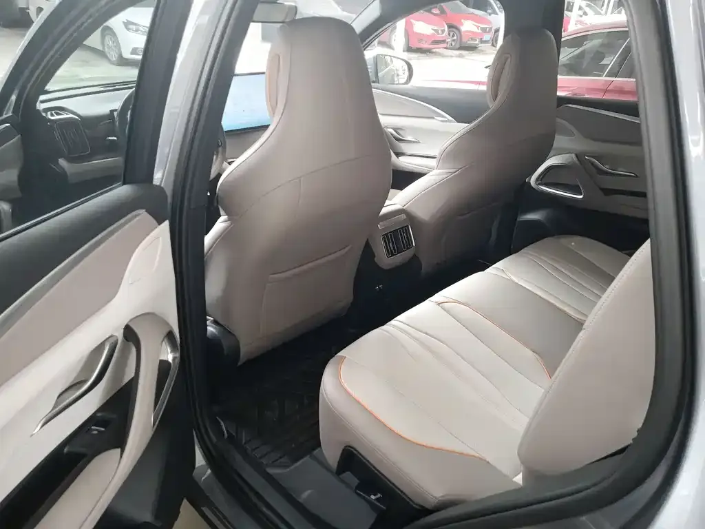 BYD Pro New Energy 2024 из CN, фото 5