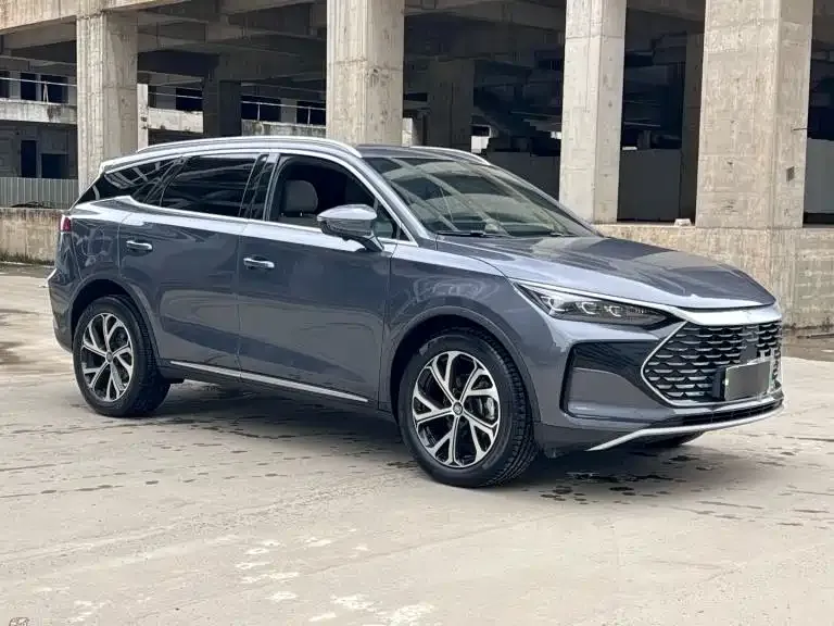 BYD Tang New Energy 2024 из CN, фото 2