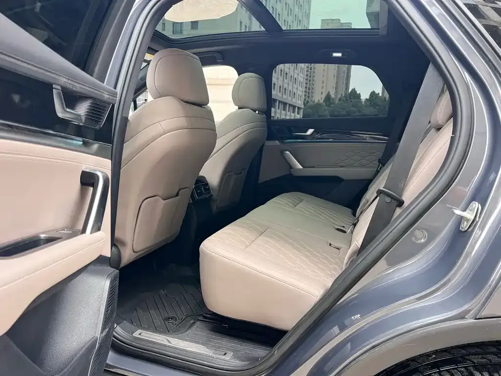 BYD Tang New Energy 2024 из CN, фото 6