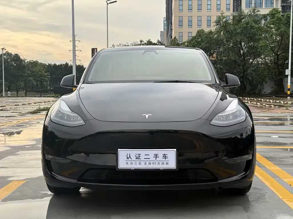 Tesla Model Y — фото 7