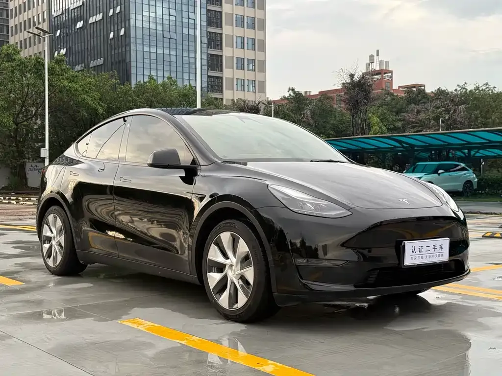 Tesla Model Y — фото 8