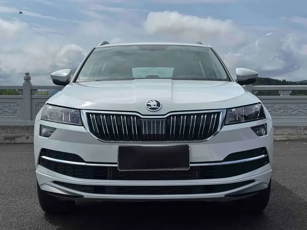 Skoda Karoq — фото 7